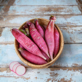 China Rose, Radish Seeds